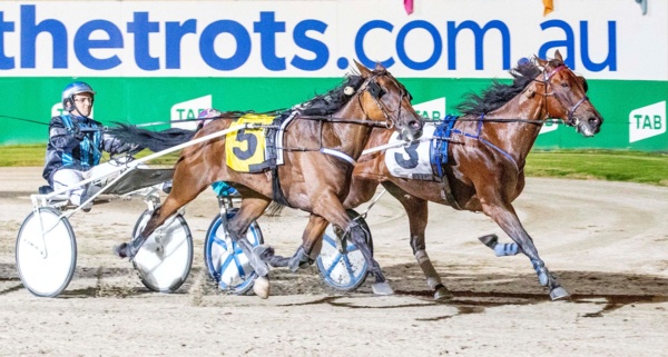 great-southern-star-rivals-to-battle-in-grand-prix