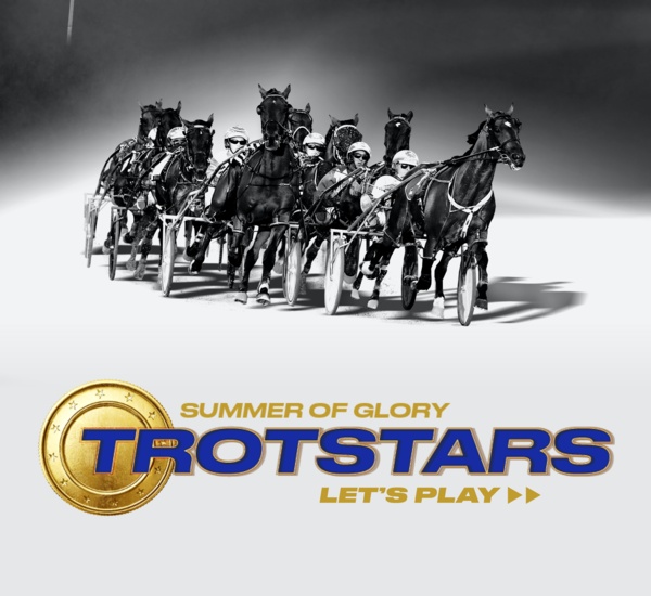 trotstars-artys-stablemate-a-hot-commodity-in-week-two
