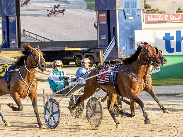 qualifiers-for-the-what-the-hill-great-southern-star-final