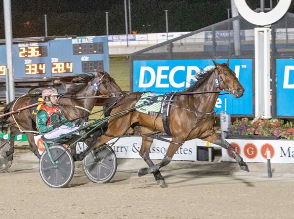 trots-centre-john-and-joe-out-to-emulate-champ
