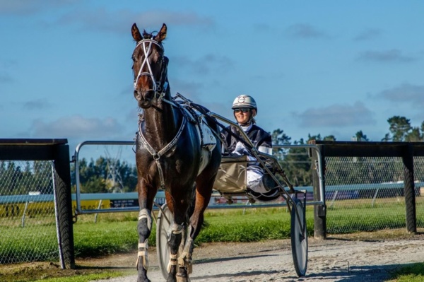 trots-centre-amanda-to-test-skys-limits-in-need-for-speed