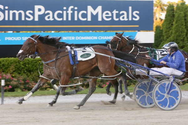nz-tonight-cullen-ready-to-sparkle-after-all-stars