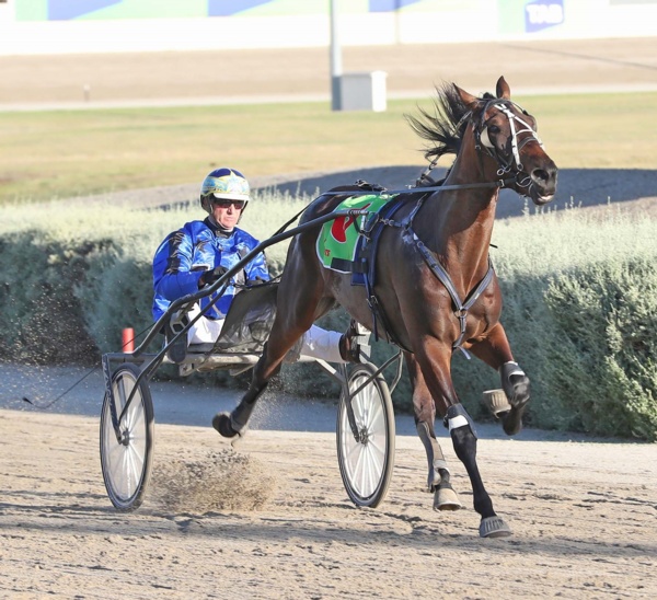 trots-centre-driven-mccallum-eyes-milestone-ouyen-cup-win
