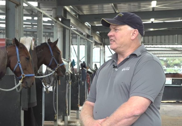 champion-trainer-settling-into-new-home-video