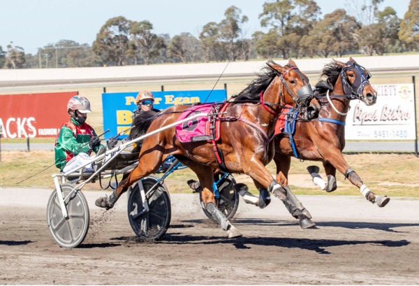 nz-tonight-joshs-redwood-champ-faces-tricky-return