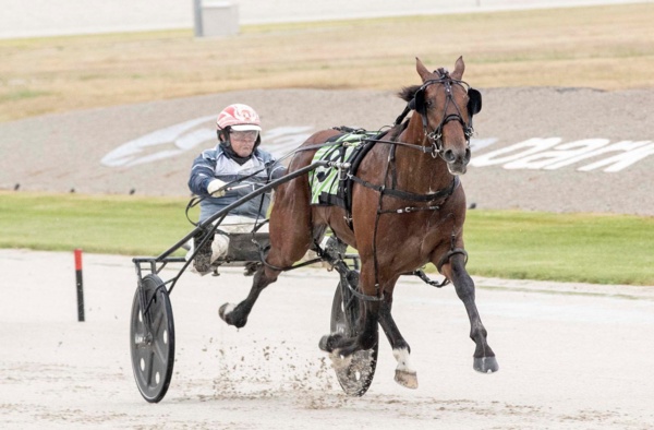 last-start-group-1-winner-sidelined-by-injury