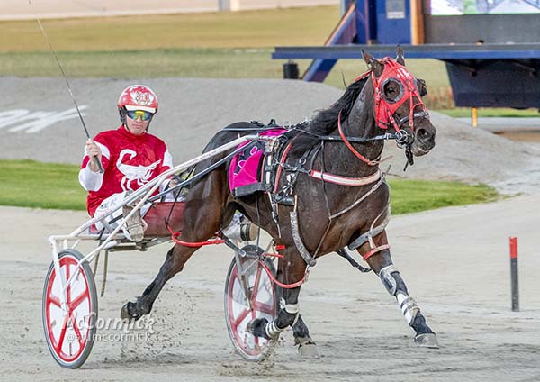 trots-review-ruby-delivers-stephens-a-family-gem