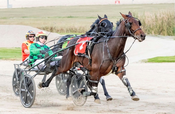trots-centre-yeomans-with-two-cracks-at-apg-glory