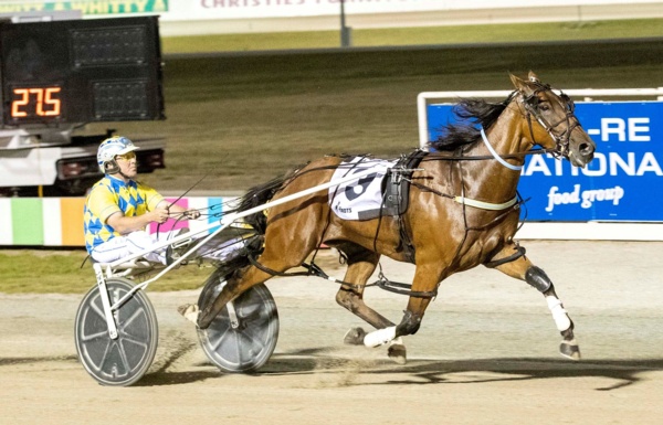 trots-centre-bonanza-winner-pulls-back-on-the-boots