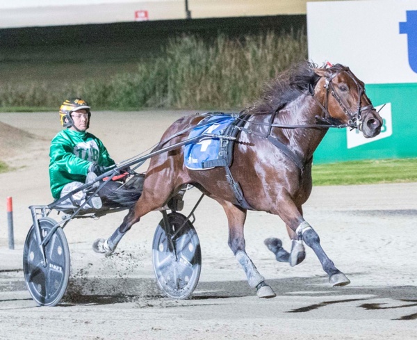trots-review-lee-and-phoenix-rise-with-delightful-late-dash