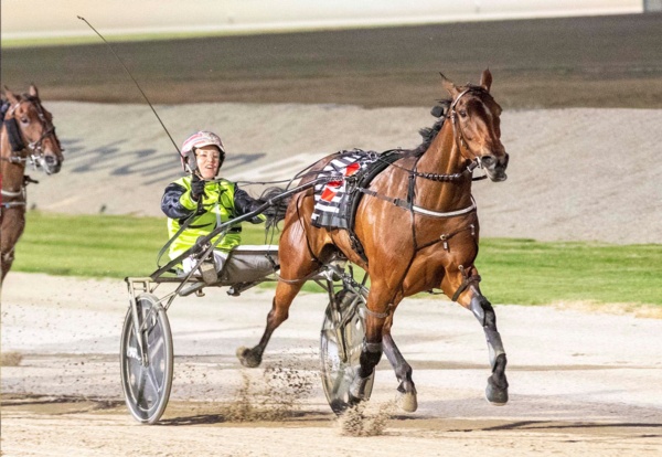 trots-centre-tilly-the-tough-filly-back-to-continue-the-fight