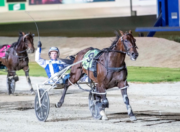 racing-comeback-the-priority-for-arty-but-stud-duties-await