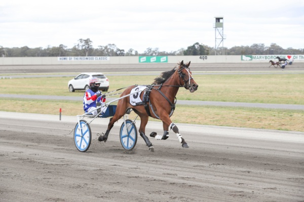 apts-graduate-derby-dreams-for-vic-bred-aldebaran-ursula