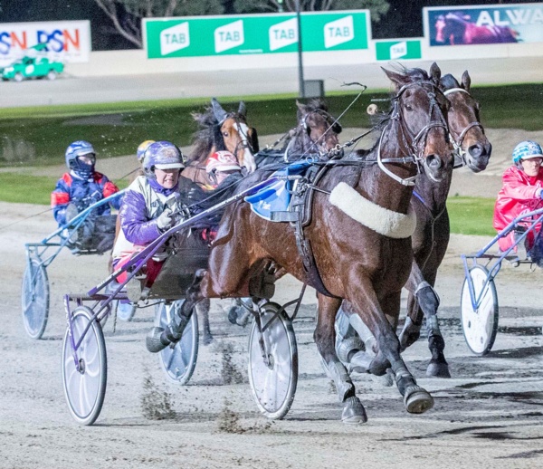 trots-review-tommy-and-hugo-go-platinum-as-fantastic-final-looms