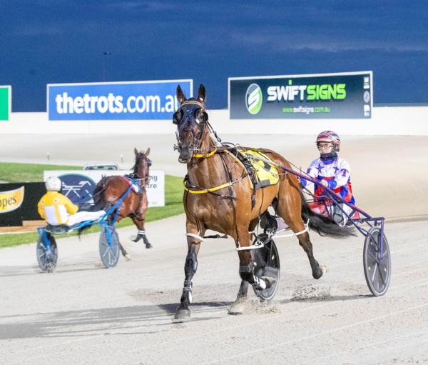 trots-centre-trainers-muscled-pet-ready-to-step-up-at-shep