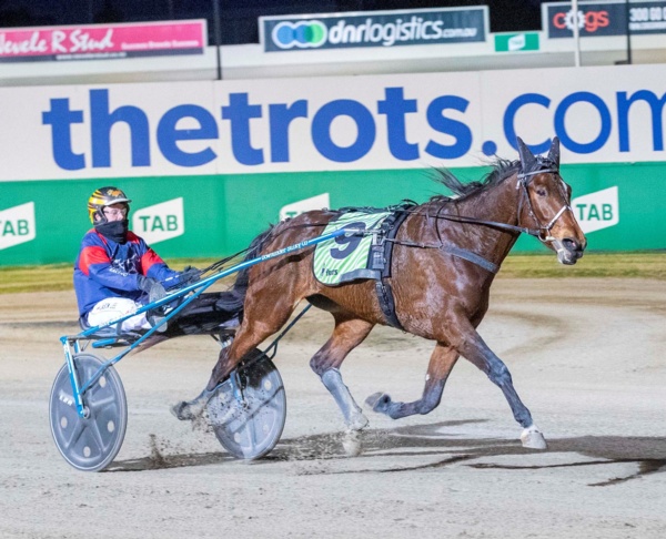 trots-review-another-dam-beauty-as-french-mare-emerges