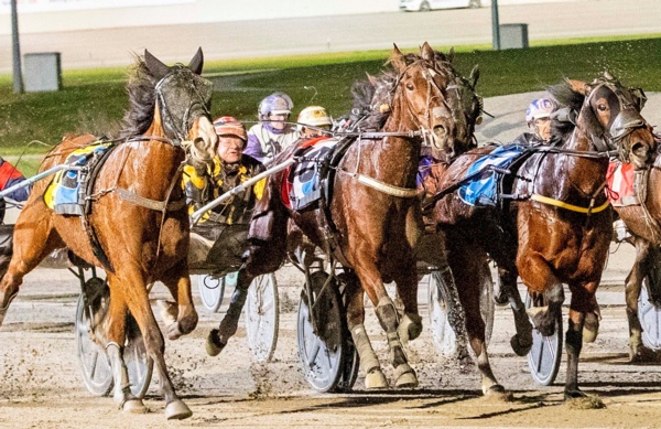 the-week-ahead-in-form-mares-to-clash-in-mouth-watering-matriarch
