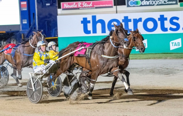 wolf-the-pick-as-ants-hunts-vic-cup-glory