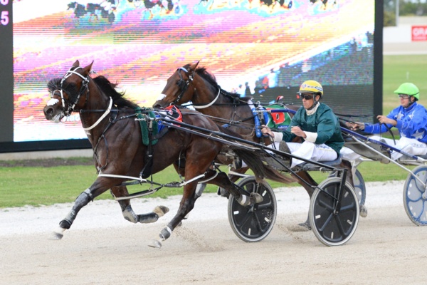 nz-jewels-guerins-race-by-race-punting-guide