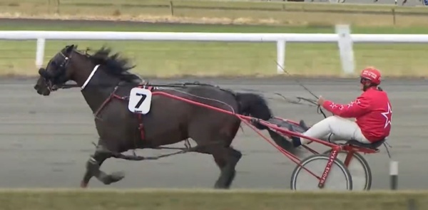 trots-centre-persistency-pays-for-andy-as-exciting-kiwi-steps-out