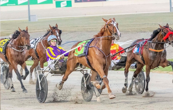 trots-centre-alby-drives-500th-as-training-aspirations-burn-bright