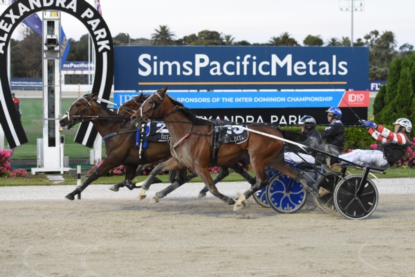 winterfell-stars-to-salute-in-the-inter-dom-trotting-final