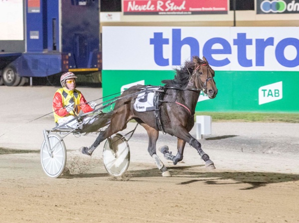 joe-hoping-to-get-pegasus-back-flying-again