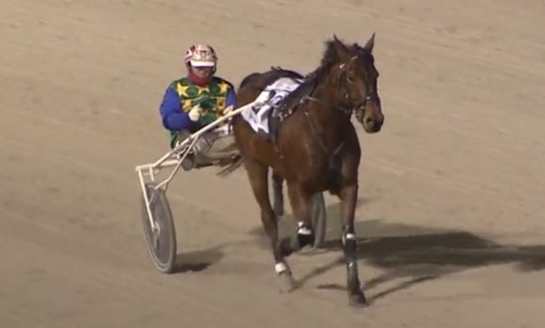 trots-review-maori-lays-down-the-law-in-john-slack-memorial