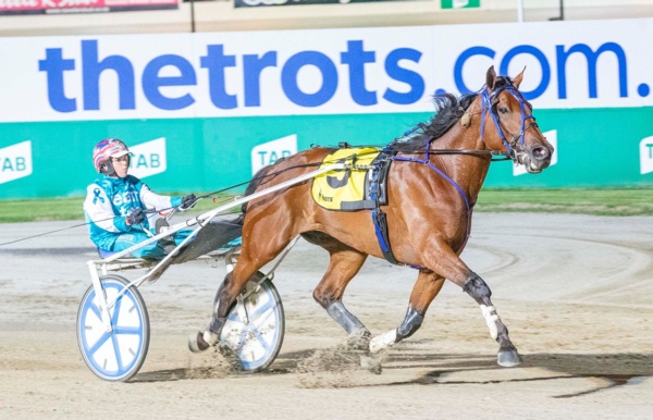 trots-centre-look-out-andys-trotting-guns-start-to-return