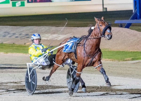 sanderson-adds-some-significant-class-to-charlton-stable