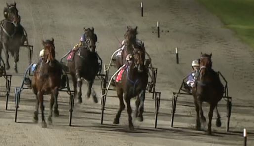 trots-review-a-big-beakthrough-as-locals-lord-over-competition
