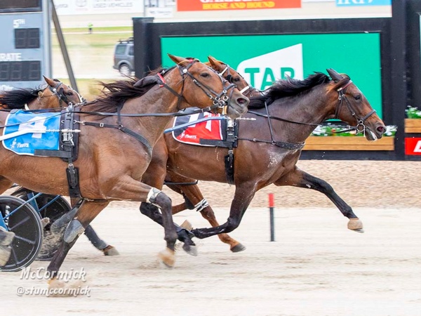 trots-centre-ballarat-return-to-ready-star-for-us-tilt