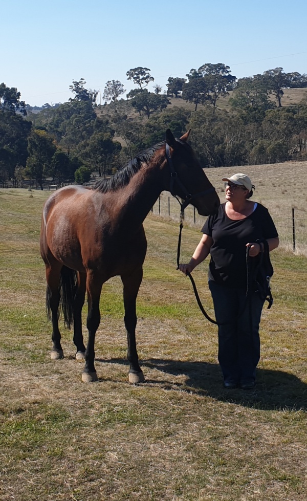 hrv-hero-sue-and-sammy-a-perfect-match