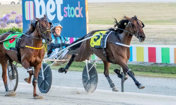 the-week-ahead-big-plans-for-magicool-ahead-of-geelong-return