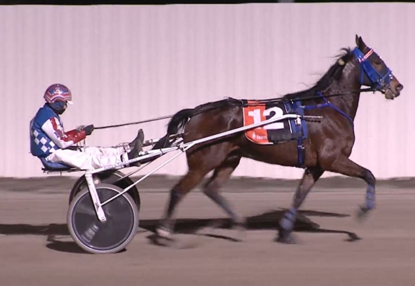 trots-review-majestuoso-lives-up-to-ever-growing-hype