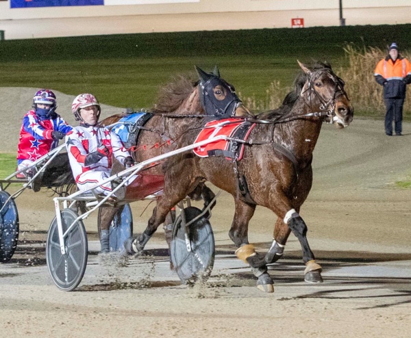 trots-centre-the-downlow-on-brandlo-ahead-of-bendigo