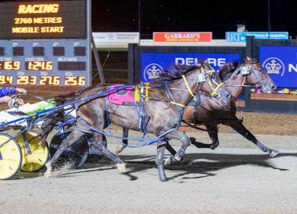 blacks-a-fake-dcs-full-albion-park-preview