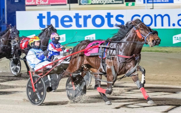 trots-centre-herbertson-flying-after-stint-on-the-sidelines