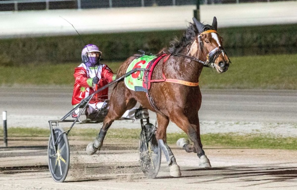 tess-takes-stature-to-greater-heights-test-against-top-mares-looms