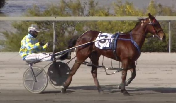 team-tindale-two-from-two-with-new-stable-acquisitions