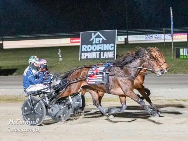 trots-review-sale-stars-do-it-their-way-in-group-1-salutes