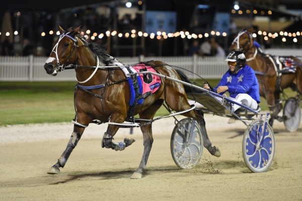 nz-tonight-champs-back-but-no-assurances-of-winning-return
