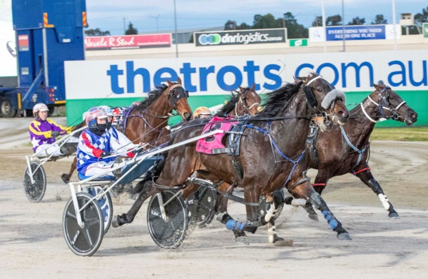saturday-selections-all-aboard-the-tango-tara-train