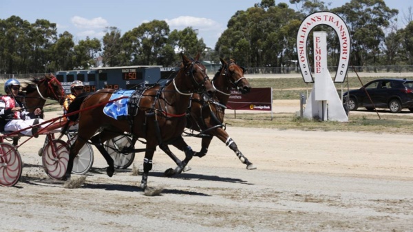 elmore-cup-shifted-to-bendigo-for-a-tuesday-night-celebration
