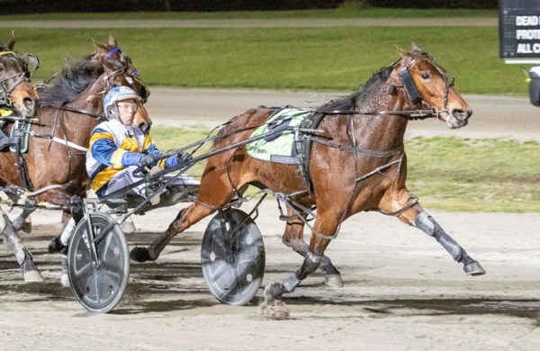 friday-selections-bon-and-luke-head-to-head-with-best-bets