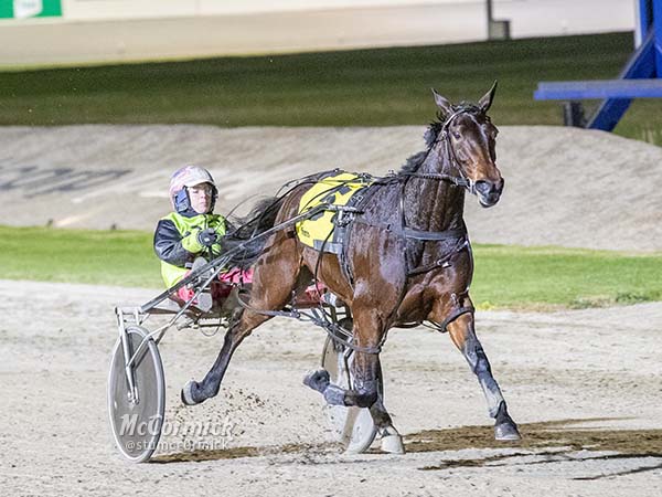 trots-life-red-and-tilly-ready-to-resume-special-rivalry