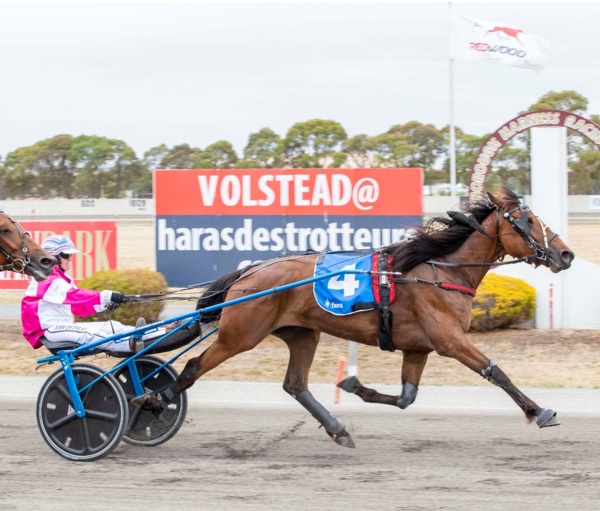 trotting-sale-graduates-step-up-on-the-double