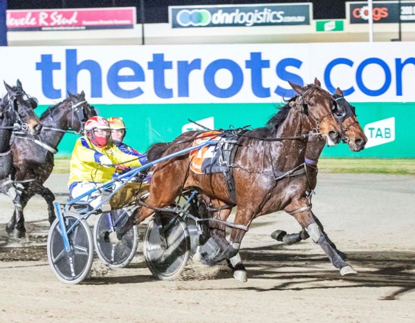 trots-centre-aiken-might-may-deliver-more-smoken-up-delight