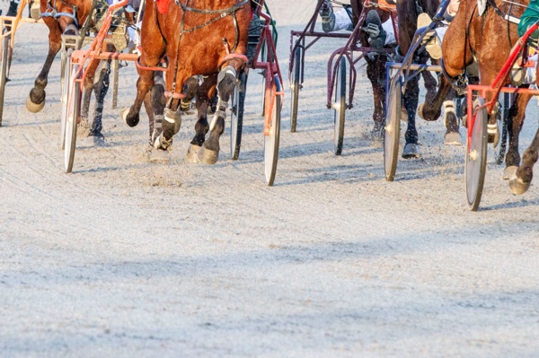 food-and-drink-vouchers-to-be-handed-out-at-race-meetings