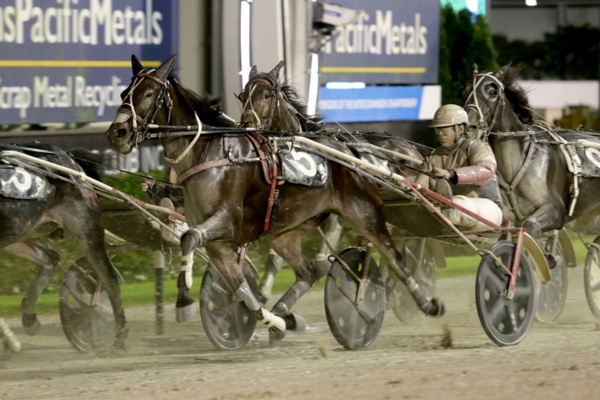 nz-racing-sundees-son-makes-surprise-return-tonight